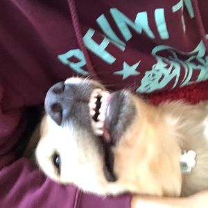 Meet your Posher, Ethan